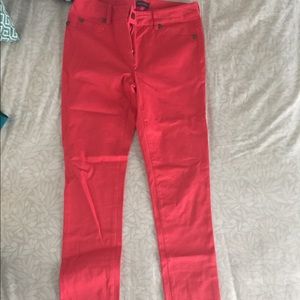 Vince Camuto Pants
